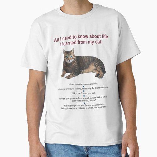 All I Need To Know About Life I Learned From My Cat by LiviaBarrosMelo