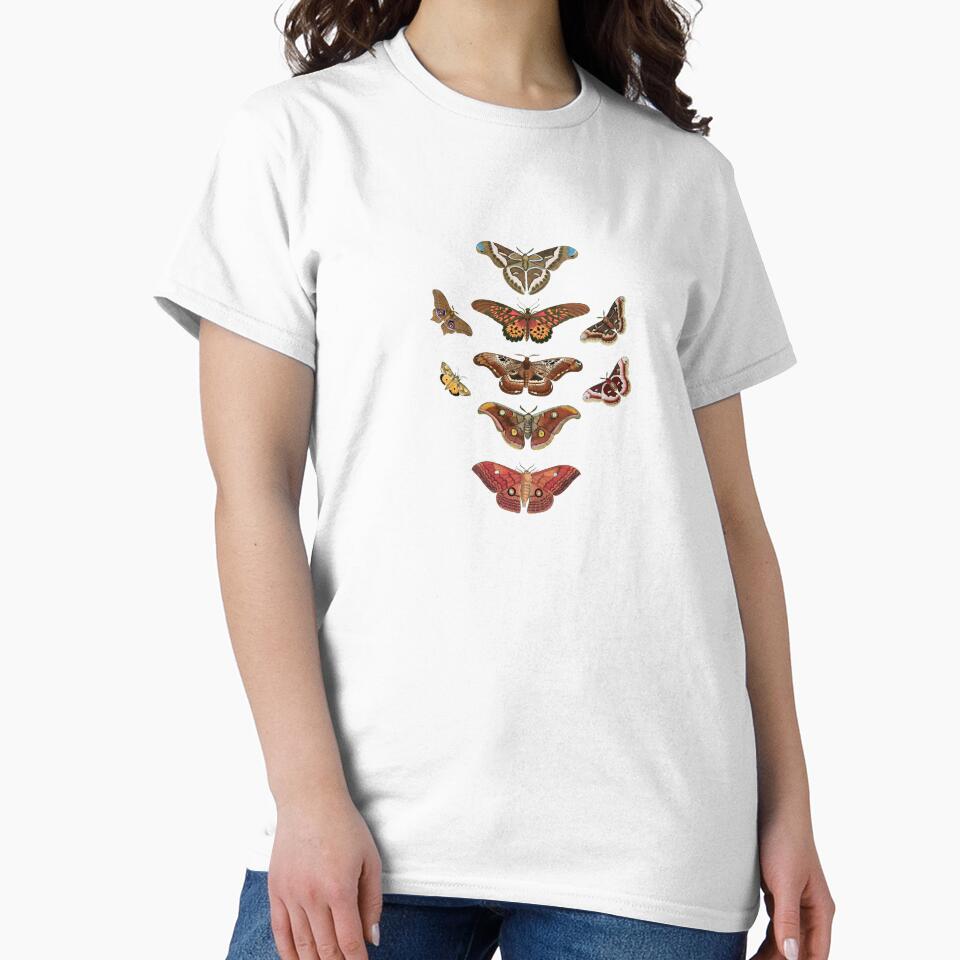moth collection by cottagefrog