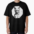Physics Schroedinger's Cat for student teachers by NebulaLabs
