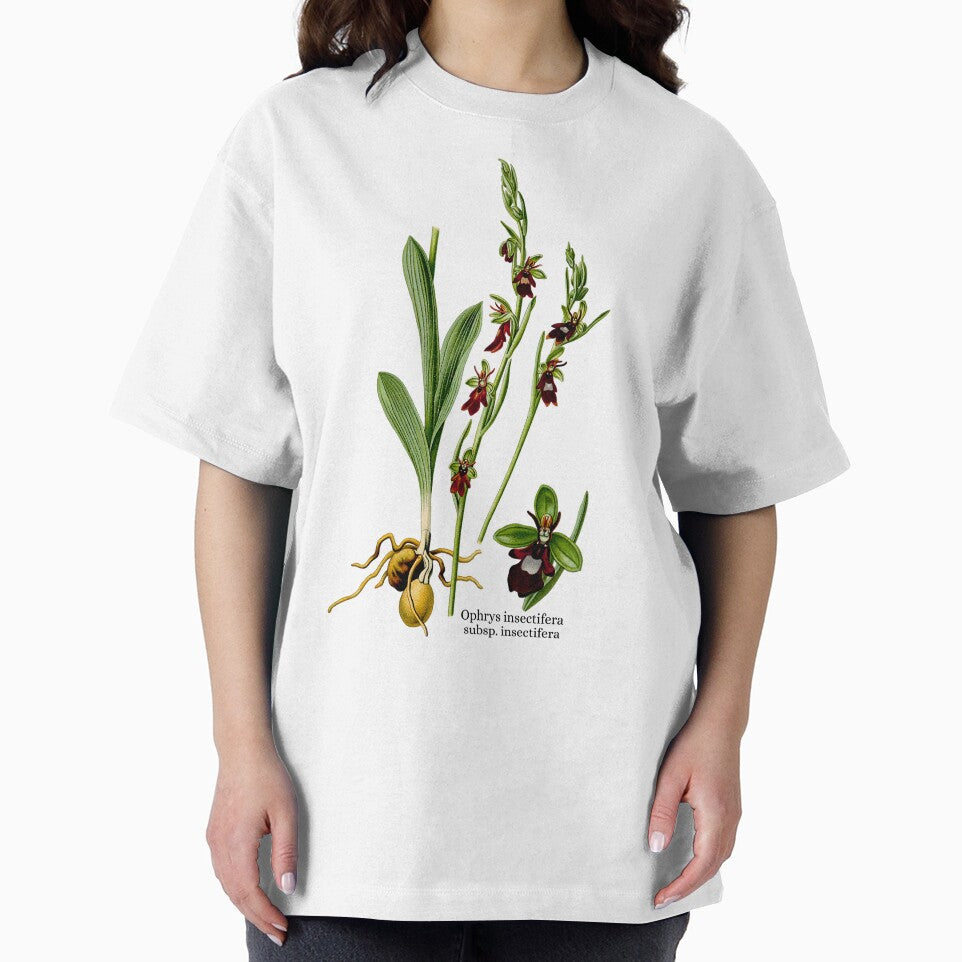 Ophrys insectifera, One Beautiful Bee Orchid by GreenVerseStore