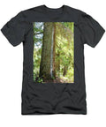 Sunny Cedar Trees Fading On The Right Side T-Shirt