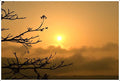 Sunrise To Remember Print