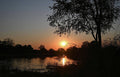 Sunset Over The Okavanga Delta With A Tree Silhouette In Botswana Print