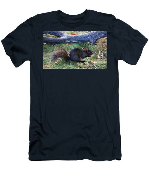 The Black Squirrel Of High Park T-Shirt