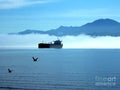 Ship In The Fog Port Angeles Washington Olympic Peninsula Print