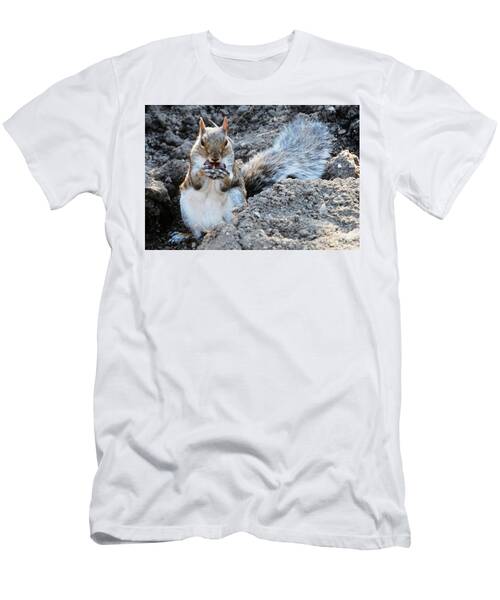 Portrait Of A Squirrel On Boston Common T-Shirt