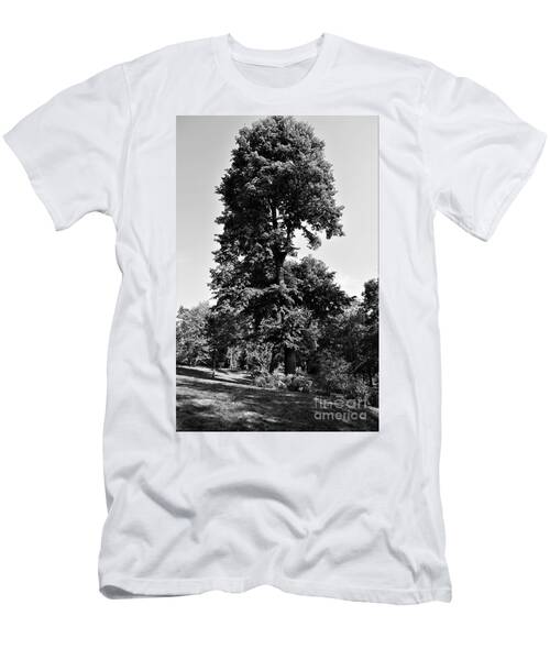 The White Ash T-Shirt