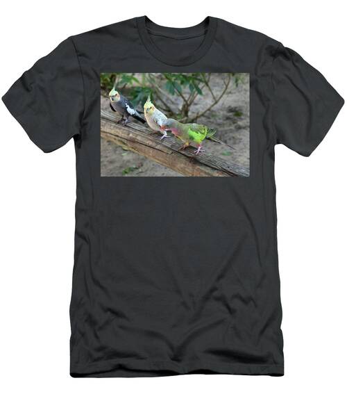 Three Parakeets In A Row At Brevard Zoo Florida T-Shirt