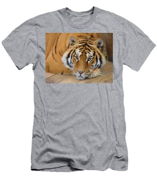 Tiger Resting - Painting T-Shirt