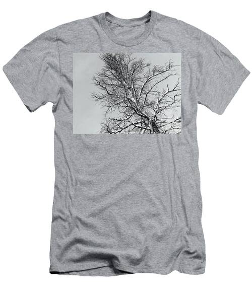 Tree Veins 001 Bw T-Shirt