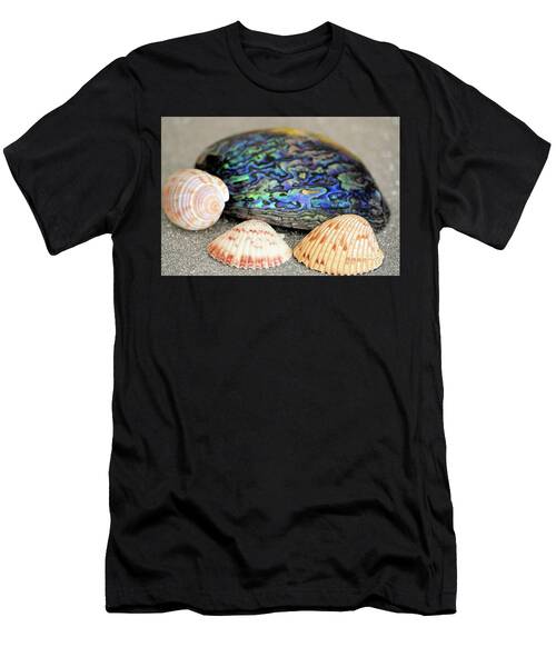 Trio Of Collected Florida Shells With New Zealand Abalone Shell T-Shirt