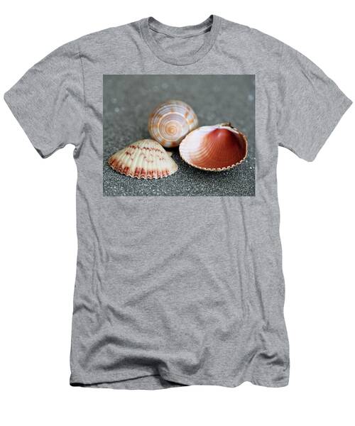 Trio Of Three Collected Florida Sea Shells T-Shirt