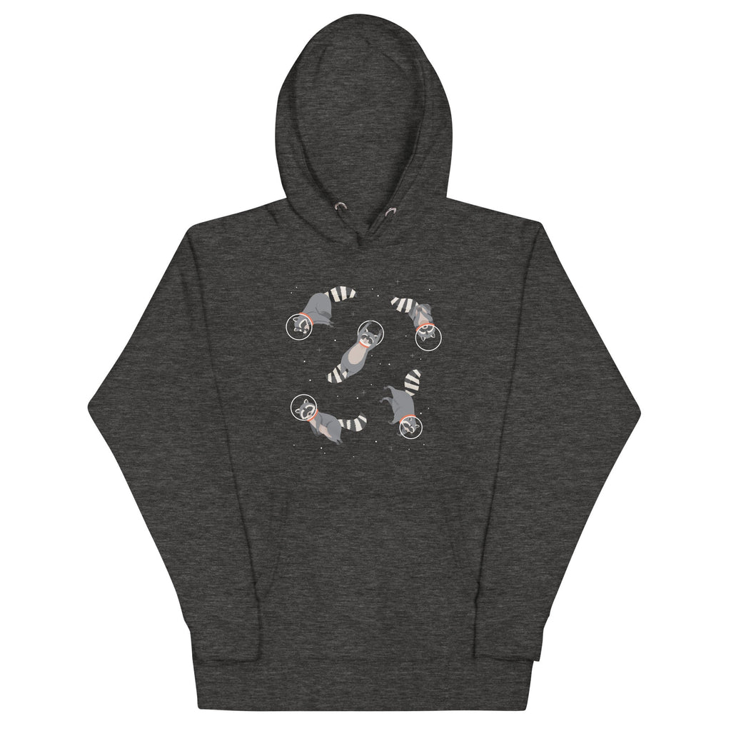 Raccoons In Space Unisex Hoodie