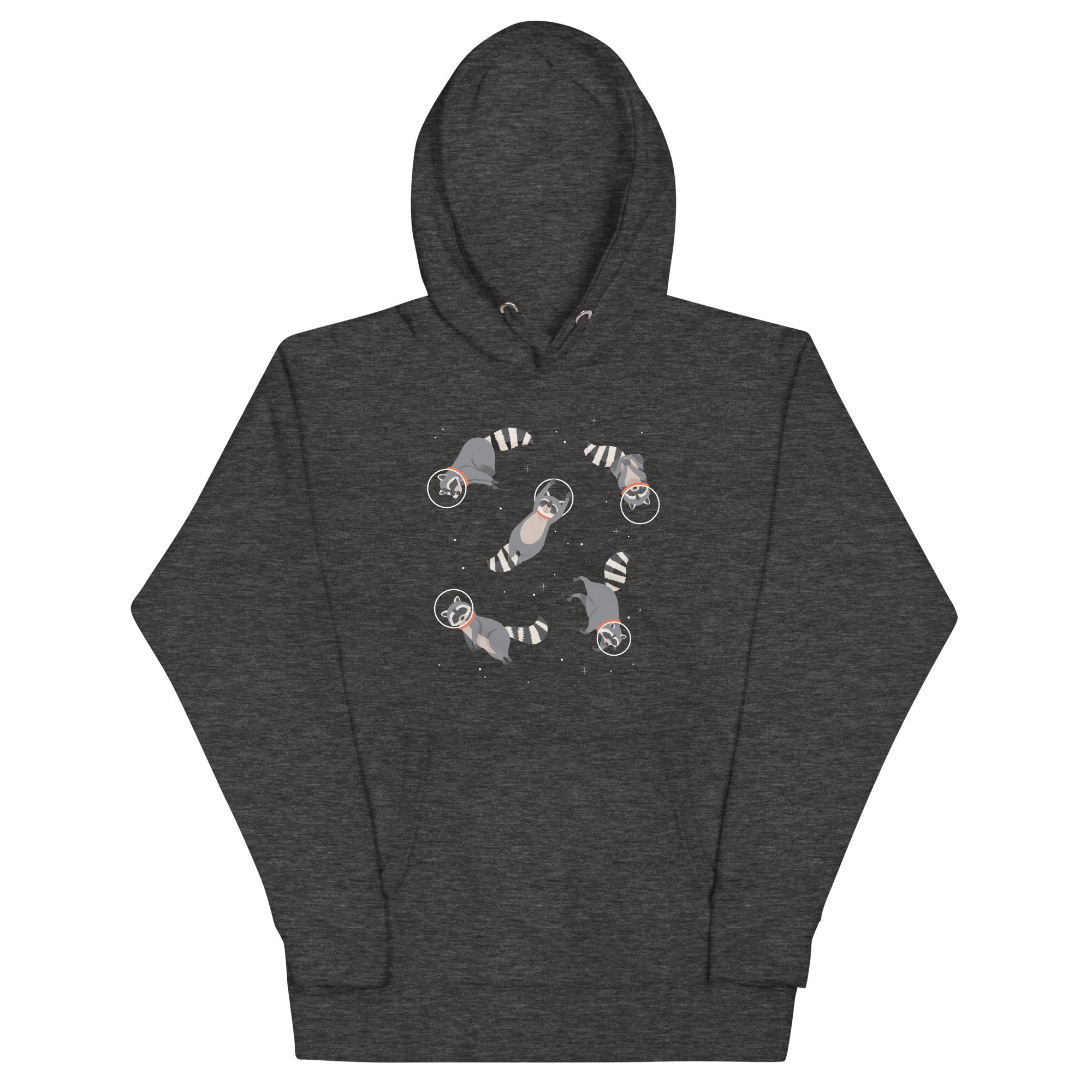 Raccoons In Space Unisex Hoodie