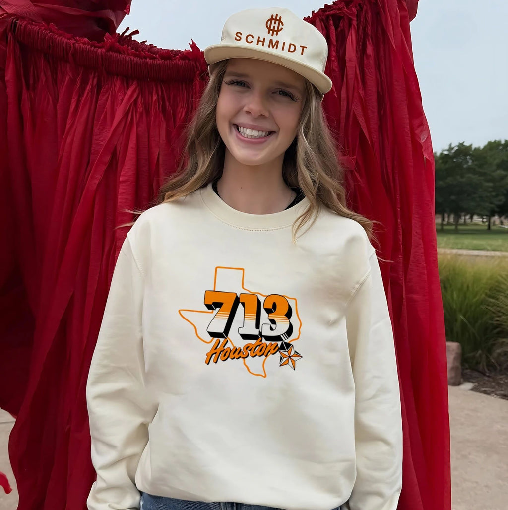 Houston 713 Texas Ash shirt
