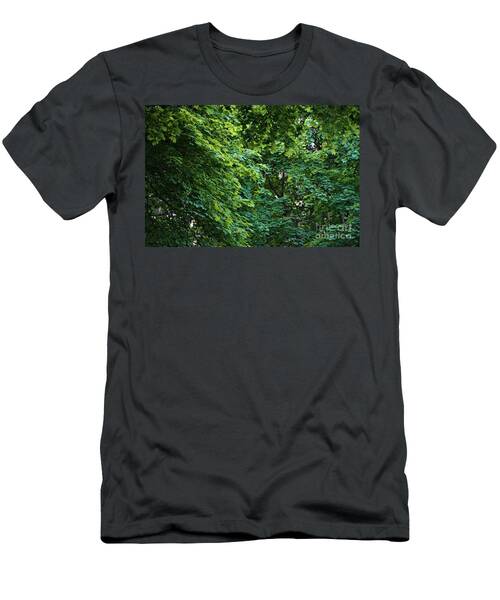 Urban Forest In Toronto T-Shirt