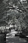 Urban Nature Trail No. 2 Print