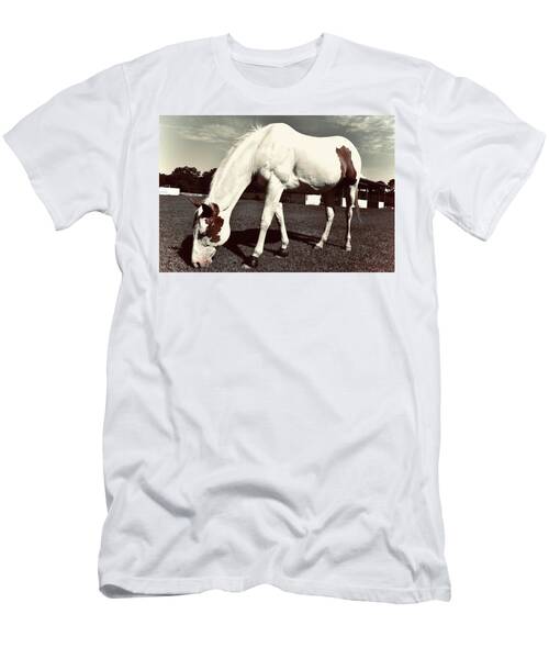 Vintage Paint Horse T-Shirt