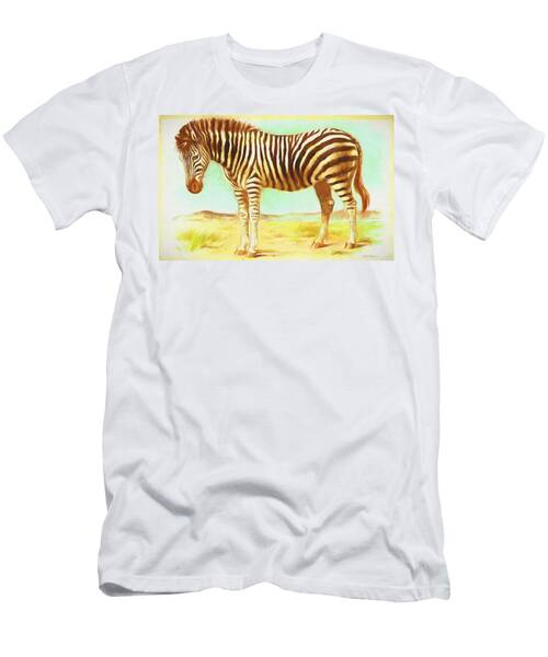 Vintage Zebra - Painting T-Shirt