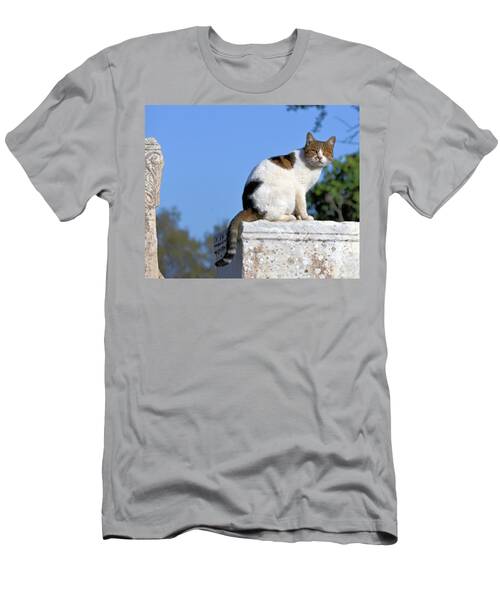 I Want To Be An Art Cat On A Greek Pillar In Ephesus Turkiye T-Shirt