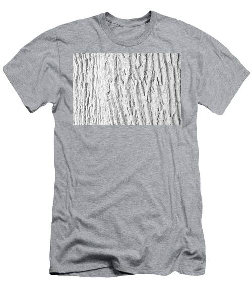 White Smooth Bark Hickory, From Riverdale Farm T-Shirt