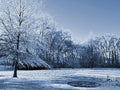 Winter Blues Print