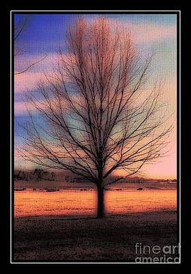 Winter Tree Print