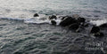 Winter Waves Print