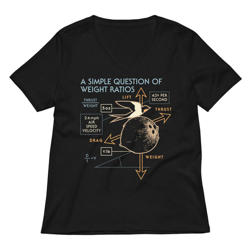 A Simple Question Of Weight Ratios Women's V-Neck Tee