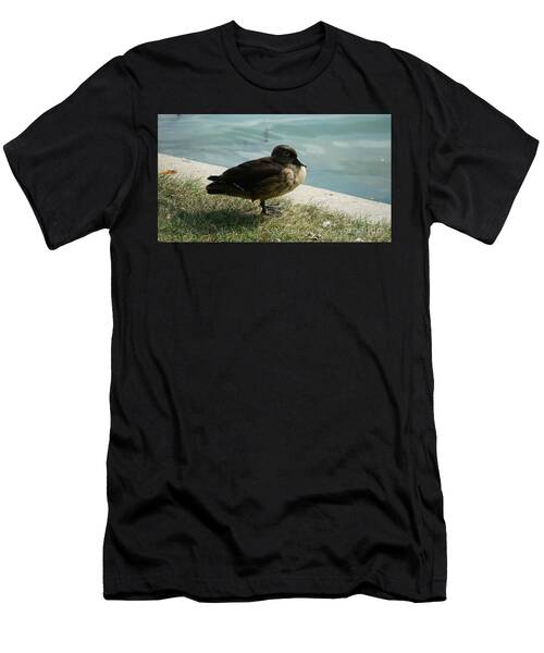Wood Duck T-Shirt