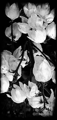Yucca Flowers Print
