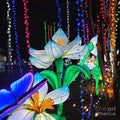 Vivid Garden Light Display Print